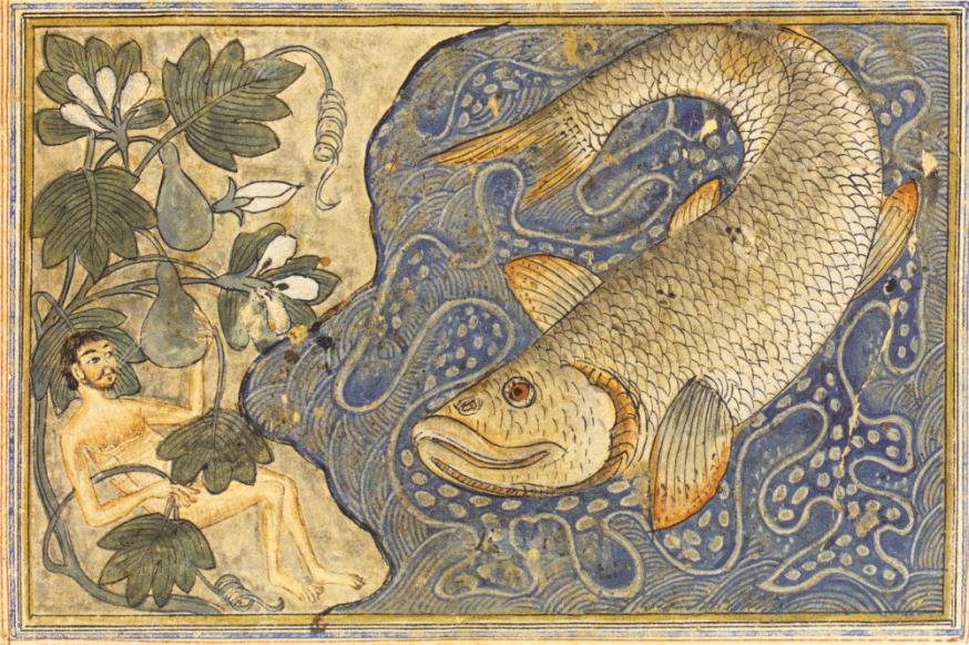 Jona en de grote vis © RR