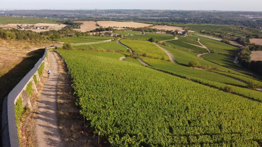 Het ommuurde domein Steinberg. © Sven Moschitz / Pressebilder Kloster Eberbach Het ommuurde domein Steinberg. © Sven Moschitz / Pressebilder Kloster Eberbach