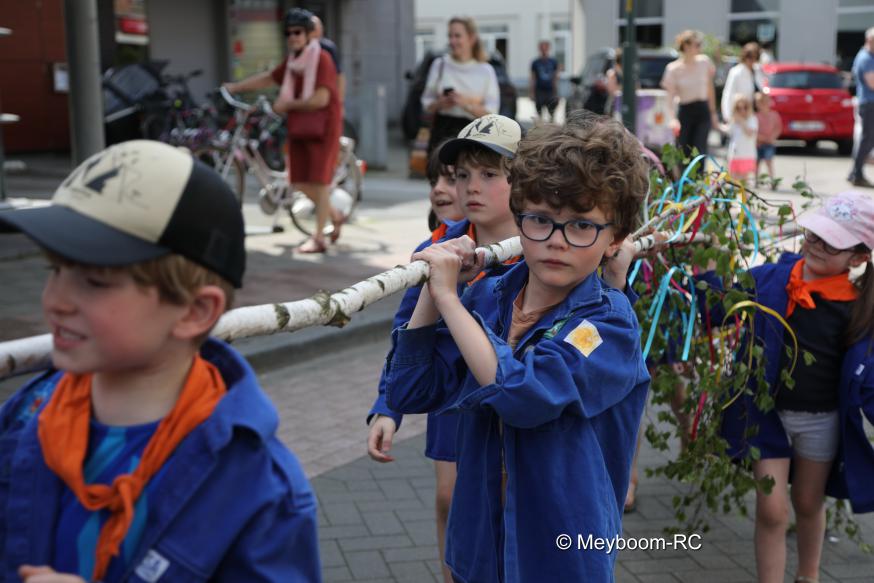 Meiboomplanting © Brusselse Gezellen van Sint-Laurentius : “Meyboom-RC”. 