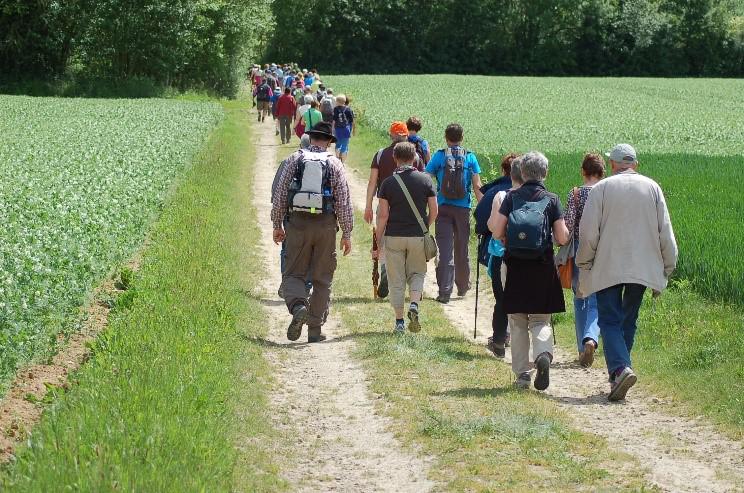 Pelgrimeren naar Maria 