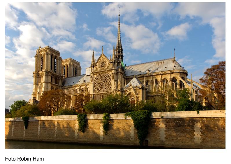 Notre Dame © Robin Ham