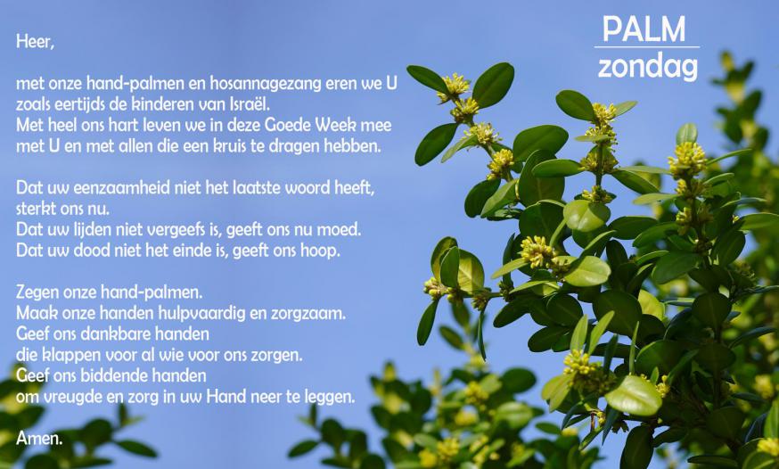 Palmkaartje CCV © CCV