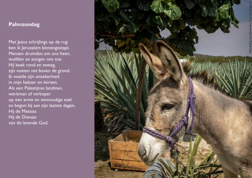 Palmzondag-gebedskaart 