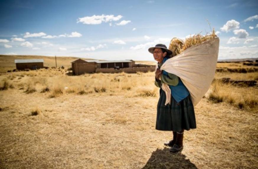 Peru © Thomas De Boever
