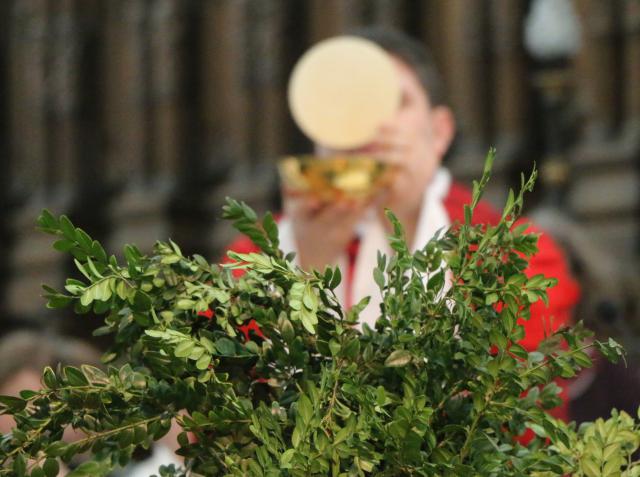 Palmzondag in de Abdijkerk © Philippe Meyer