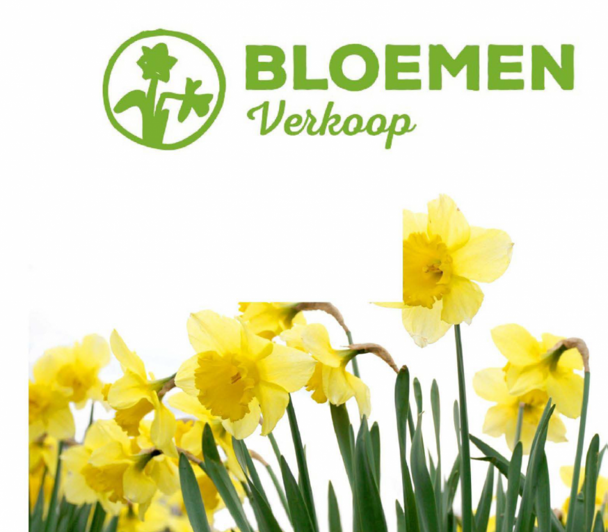 Narcissenverkoop Blauwput 2026 