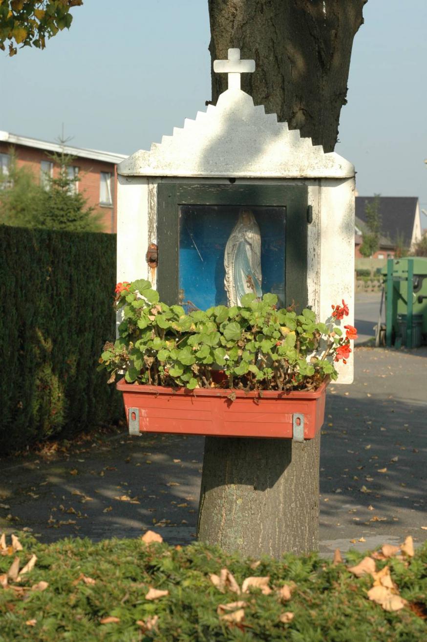 Op de hoek van Ruilare en Slagmanstraat in Zeveneken © PM