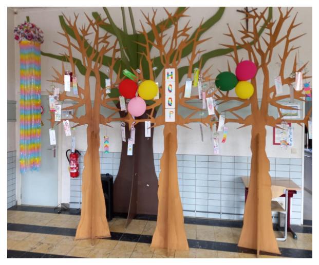 Project Hoop BS De Hoge Geest 