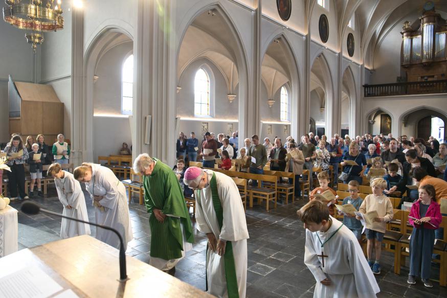 Gezinsvizring 
