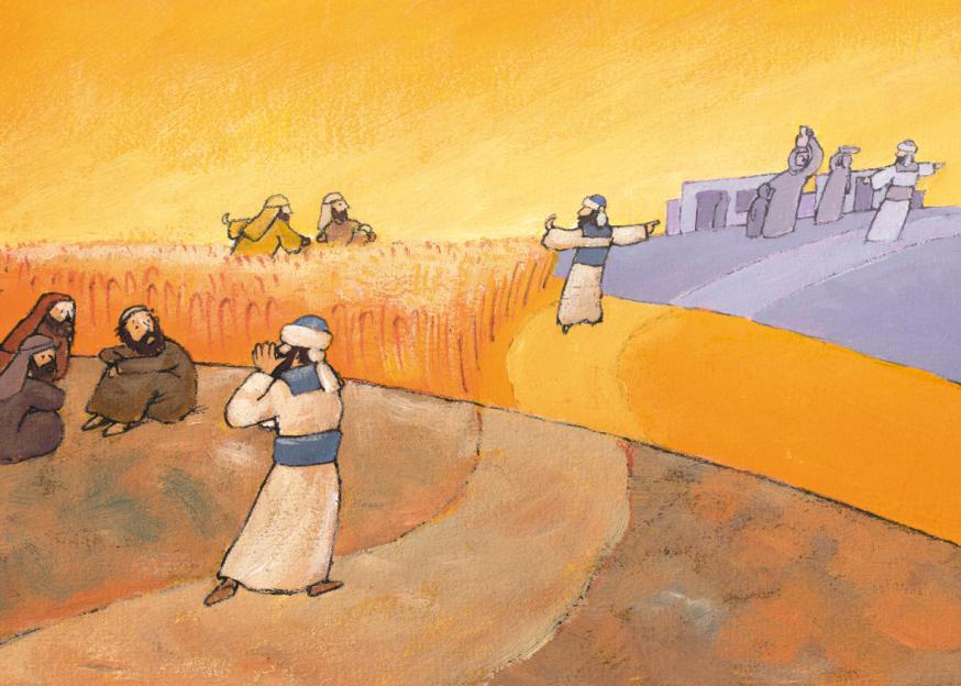 De oogst is groot, maar er zijn weinig arbeiders © Roel Ottow