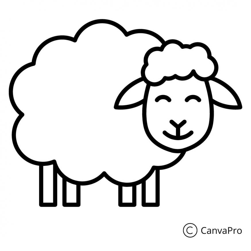 Schaap © Canva Pro