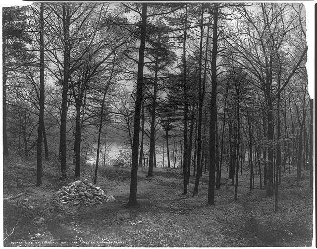 Op de plaats van de stenen, aan Walden Pond in Massachusetts, stond ooit de hut van Thoreau. © CC Wikimedia