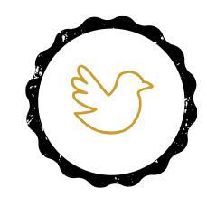 Stempel Geest © Bisdom Antwerpen