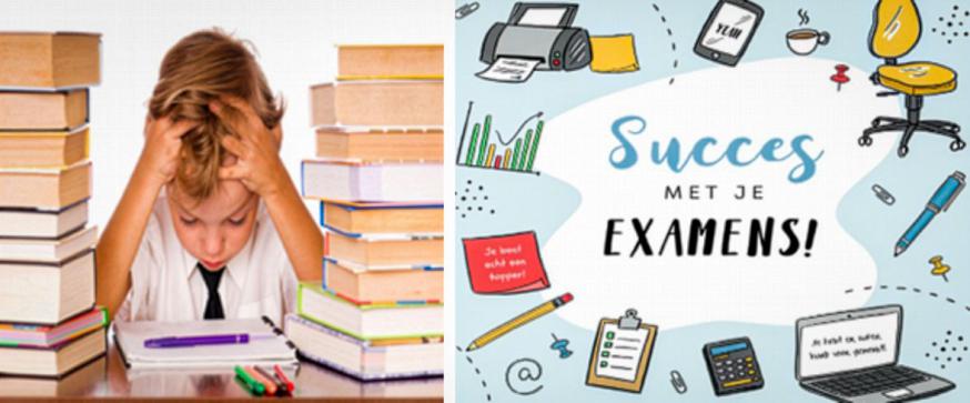 Succes in de examens 