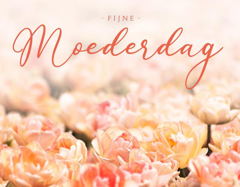 Moederdag © Luc Mertens