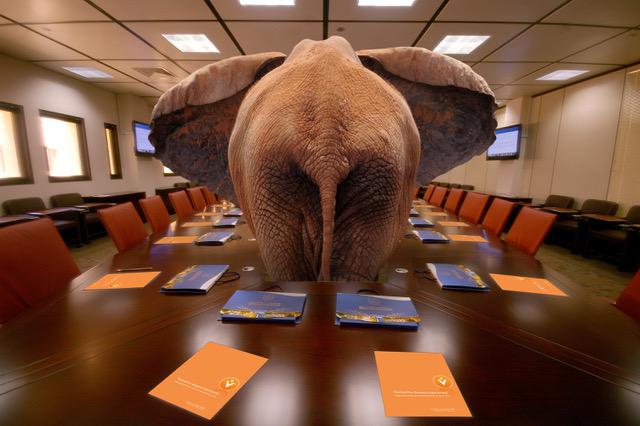 Een belangrijk deel van het kwaliteitsverlies in het Vlaamse onderwijs is niet ontstaan bij gebrek aan eindtermen, maar met de toepassing ervan; dàt is de olifant in de kamer © RR Een belangrijk deel van het kwaliteitsverlies in het Vlaamse onderwijs is niet ontstaan bij gebrek aan eindtermen, maar met de toepassing ervan; dàt is de olifant in de kamer © RR