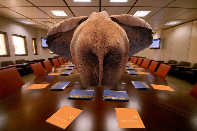 Een belangrijk deel van het kwaliteitsverlies in het Vlaamse onderwijs is niet ontstaan bij gebrek aan eindtermen, maar met de toepassing ervan; dàt is de olifant in de kamer  © RR