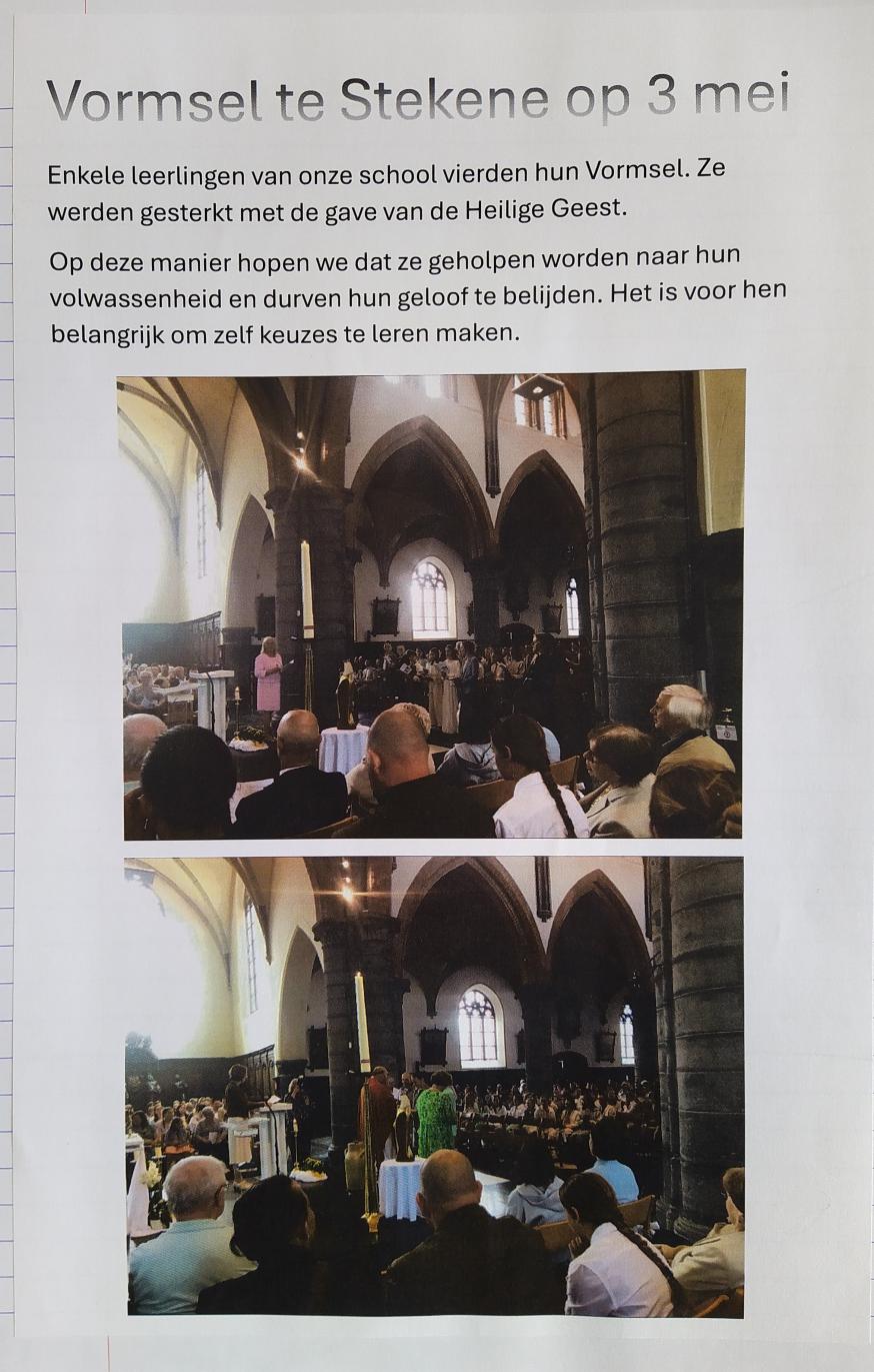 Anker in BS Tuimelaar-3 