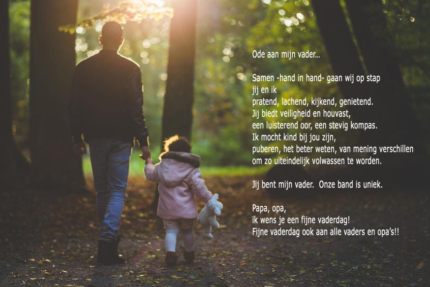 Ode aan mijn vader © Afbeelding van StockSnap via Pixabay