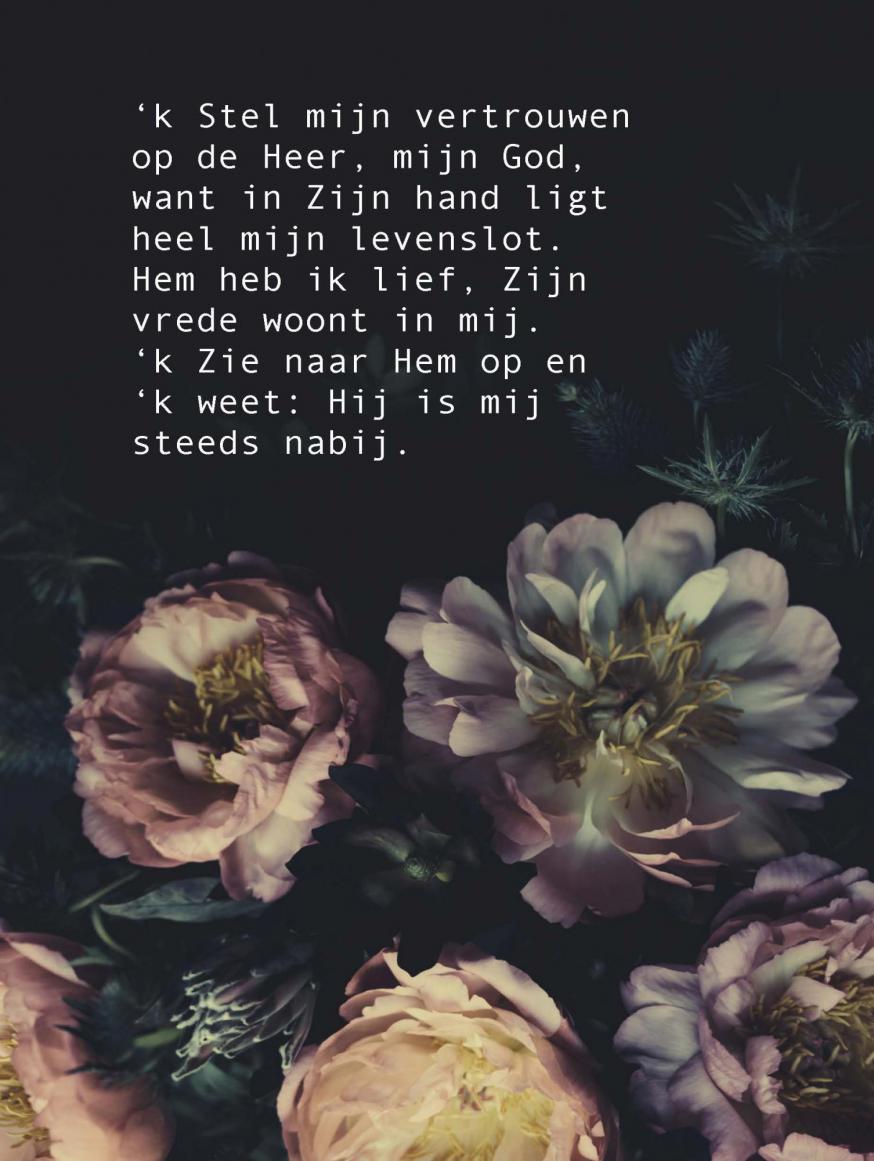 Vertrouwen in God © -