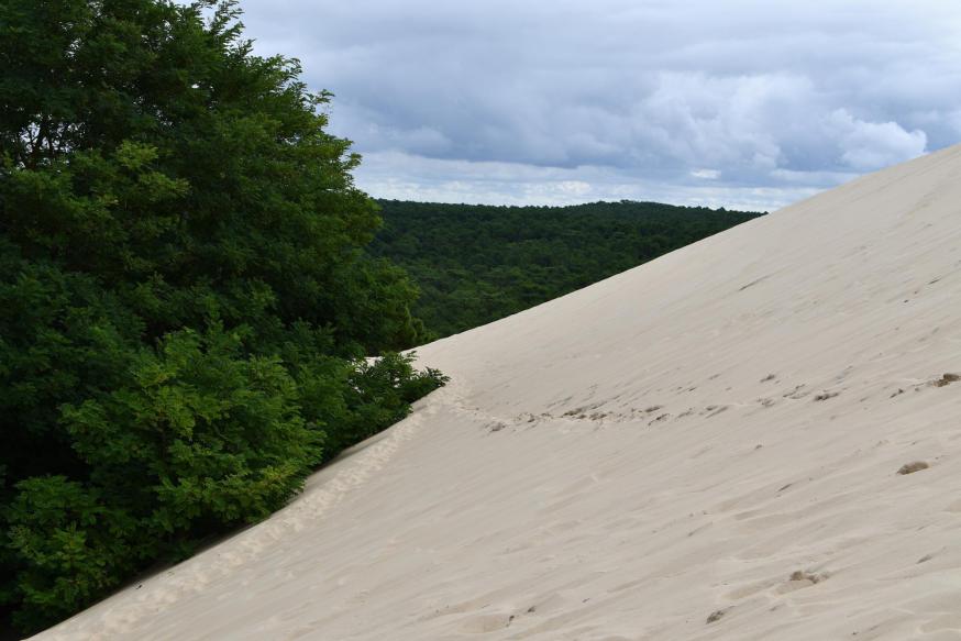 voetsporen in de duinen © Guido Vandeperre