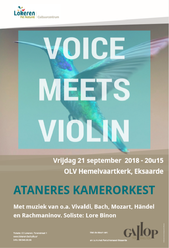 Voice meets violin 