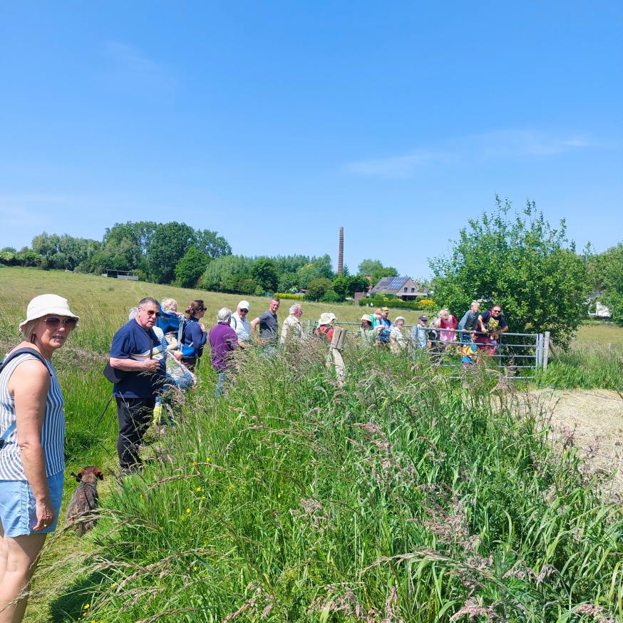 Ecokerkwandeling - wandelaars 