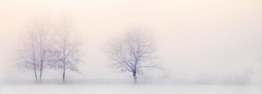 Onbetaalbare winter komt eraan © Pixabay