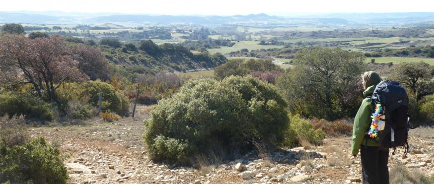 tocht © past. zone oase