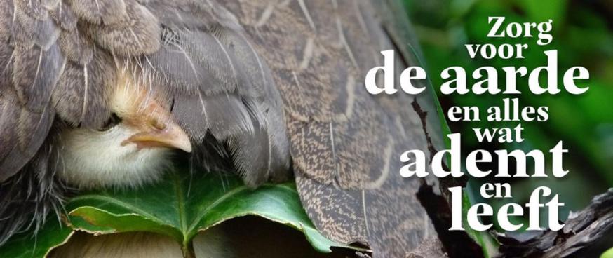 Zorg voor de aarde 