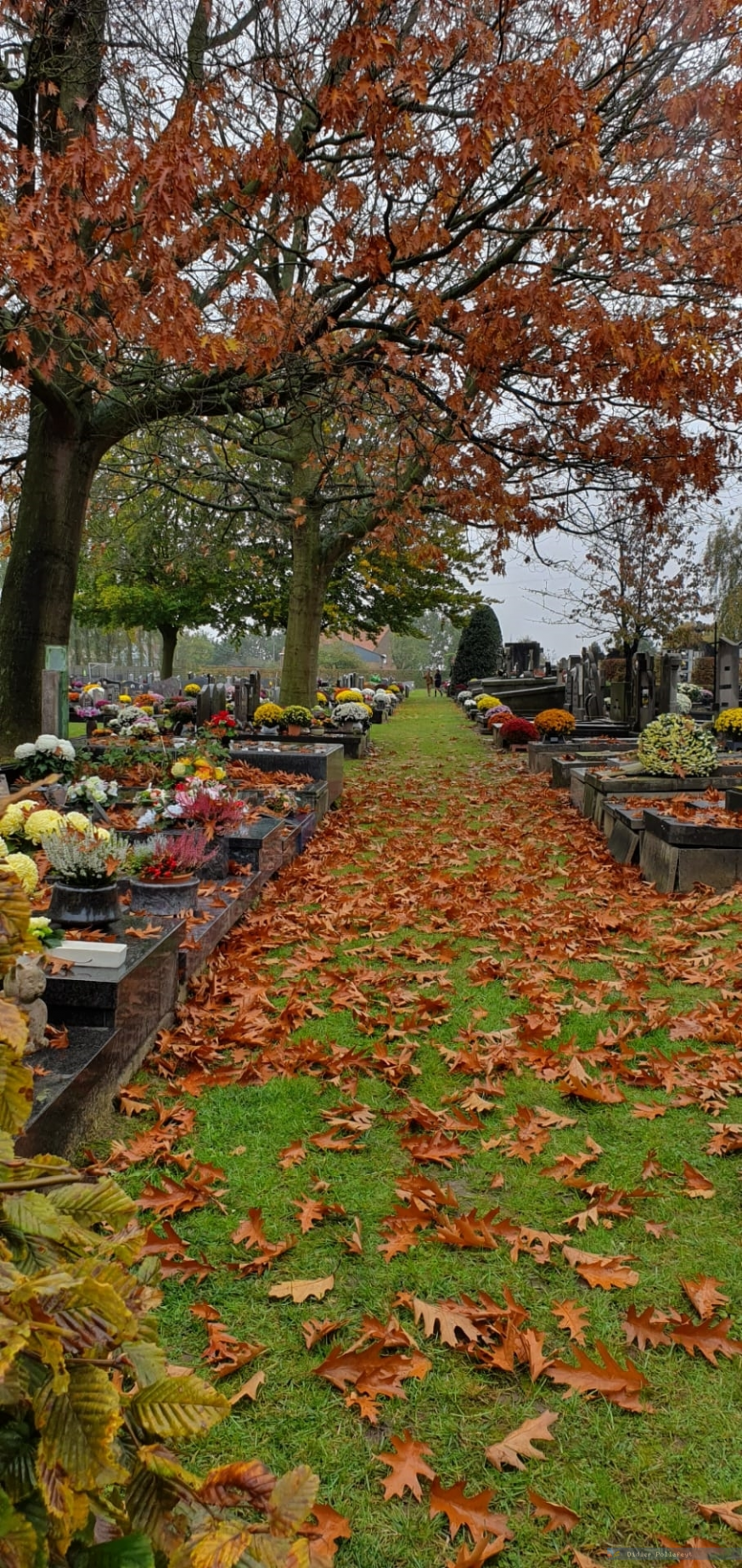 Allerheiligen © Didier Pollefeyt - Thomas