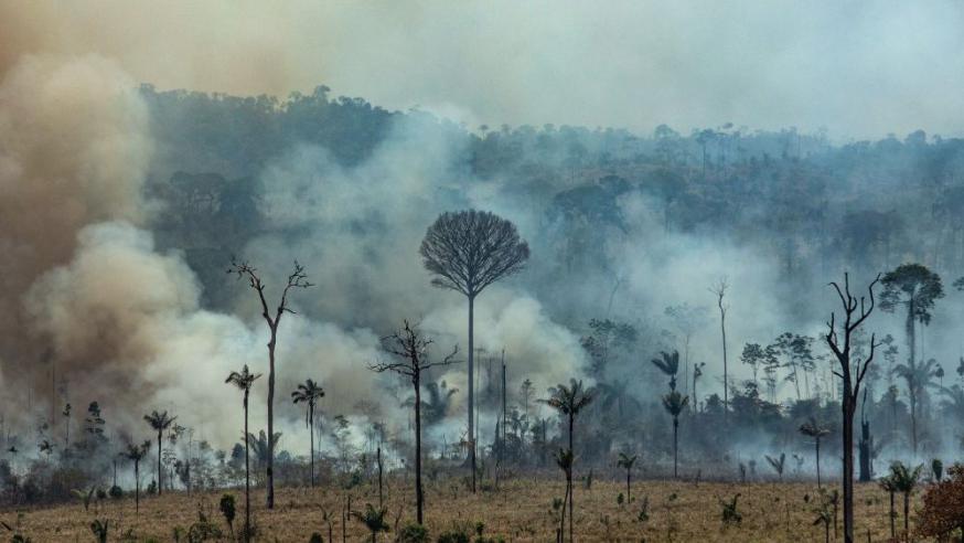 Honderden brandhaarden teisteren het Amazonewoud © Vatican Media