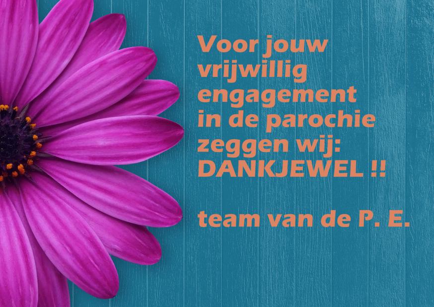 Week van de vrijwilliger 2022 © Karen Devroe
