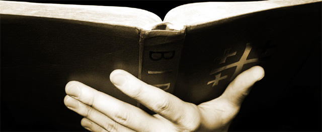 Foto: Jesper Noer/freeimages.com (cc)