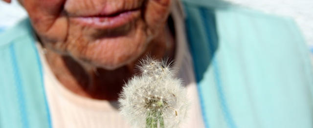 Foto: Freeimages.com/Michael Helmer
