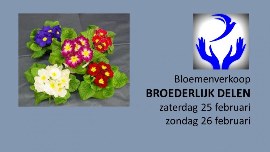 bloemenverkoop 