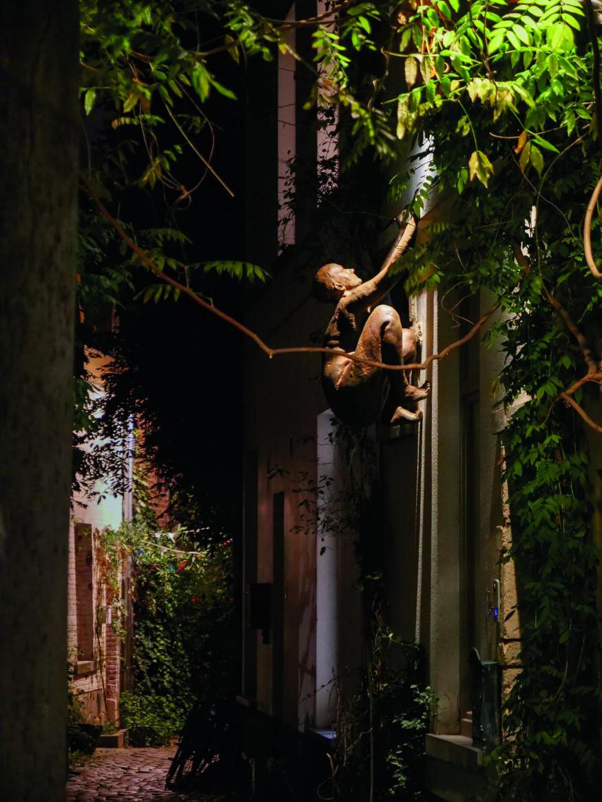 Lichtzoeker © Senne Dehandschutter