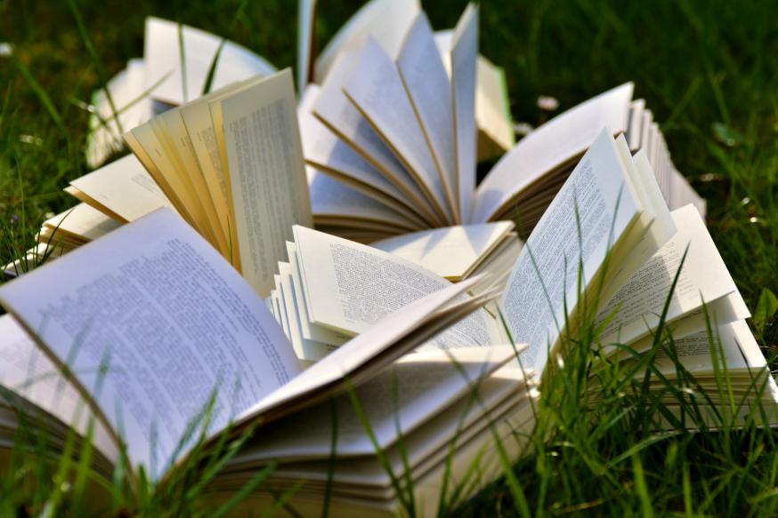 Boeken en vakantie ... dat is pas op reis gaan. © CC Pexels