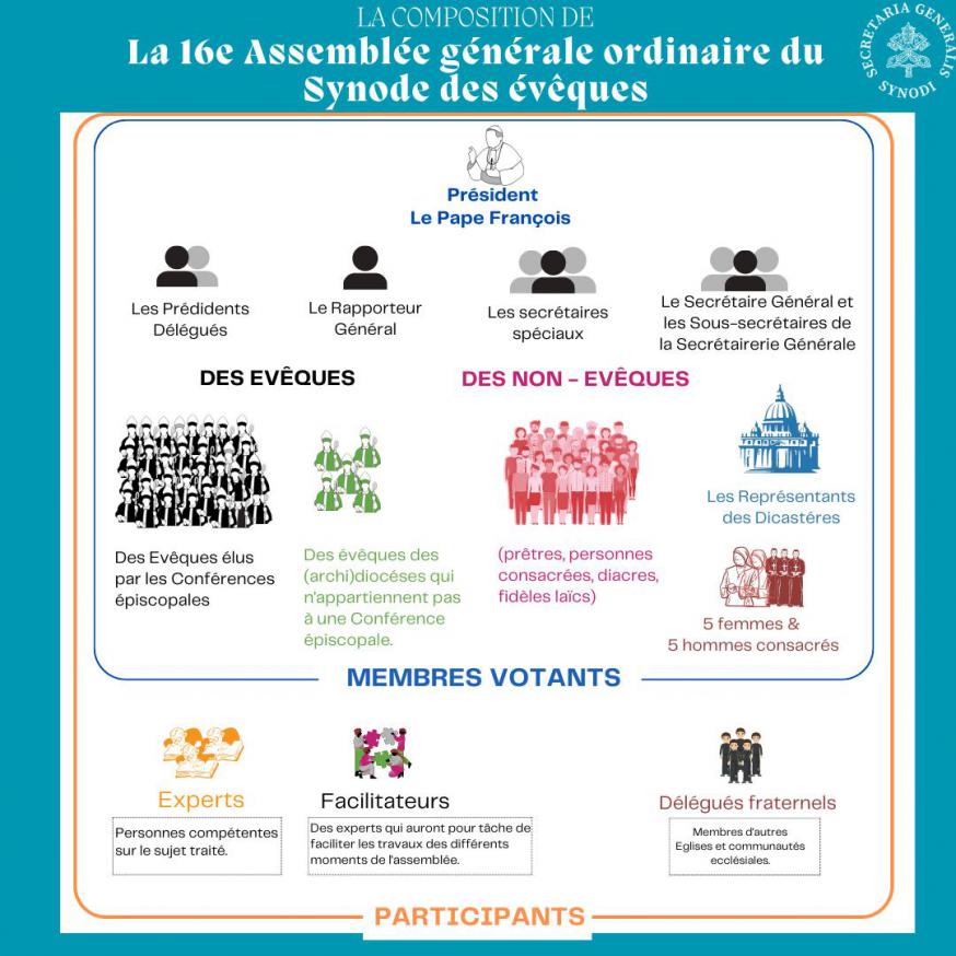 Deze infografiek maakt duidelijk welke onderscheiden groepen deelnemen aan de synode en welke groepen stemrecht hebben. © Secretariaat-generaal bisschoppensynode