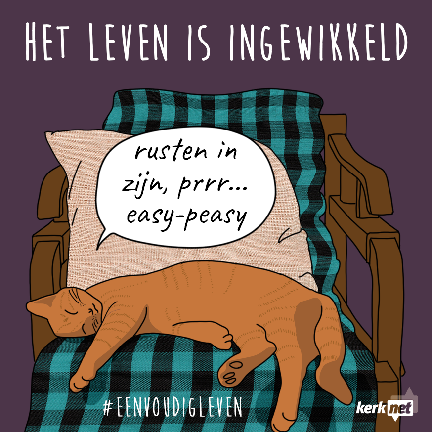 Rusten in zijn, prrr... easy-peasy © Sim D'Hertefelt