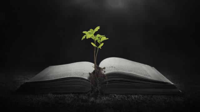 Geworteld in Christus © http://michiganintouch.com/healthy-workers/rooted-in-gods-word/