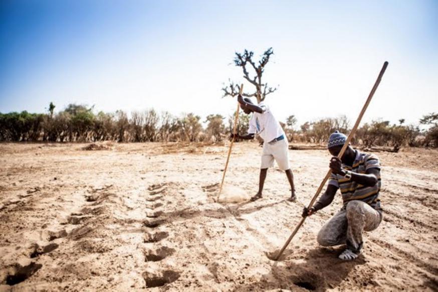 In Senegal vechten kleine boeren voor hun familiale landbouw en tegen de droogte. Met de hulp van Broederlijk Delen. © Broederlijk Delen