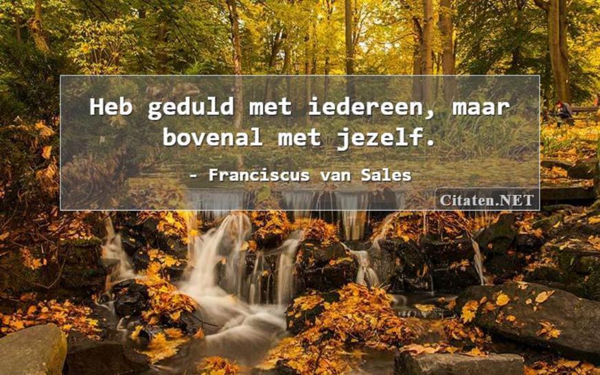 Franciscus van Sales © citaten.net