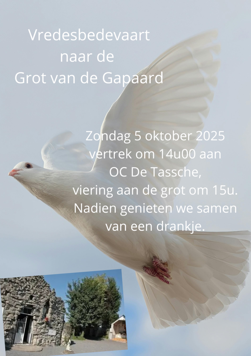 Vredesbedevaart naar de Grot van de Gapaard © PE Sint-Germanus Ardooie