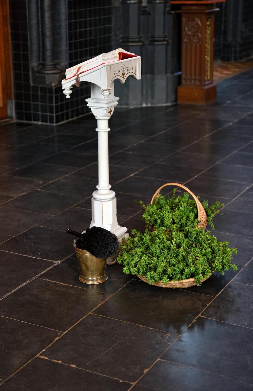 Palmtakjes © Pixabay