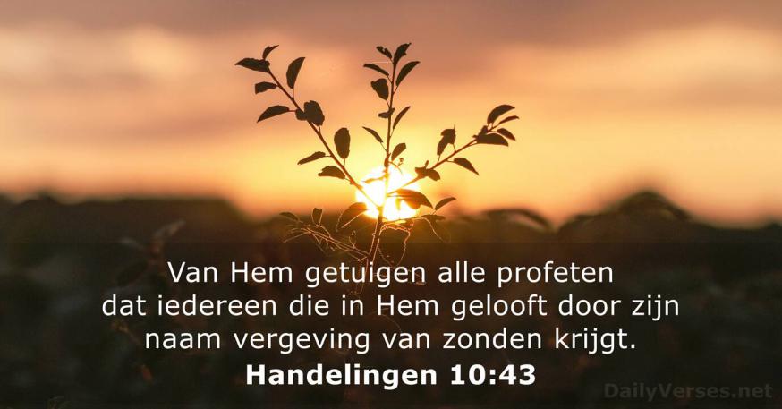 Getuigen © Daily Verses