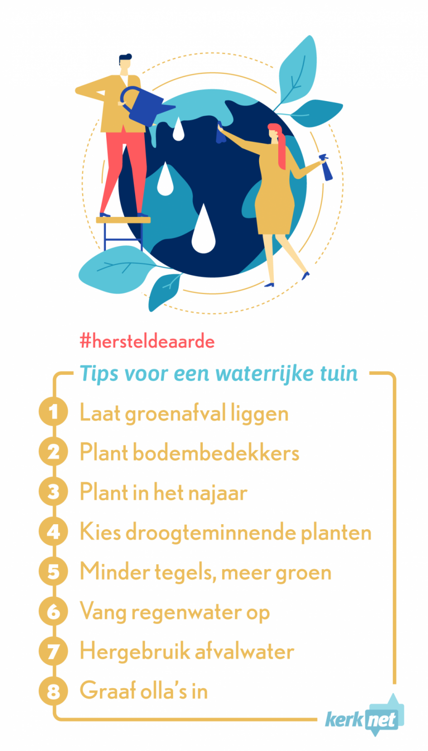 Tips voor een waterrijke tuin © Sim D'Hertefelt