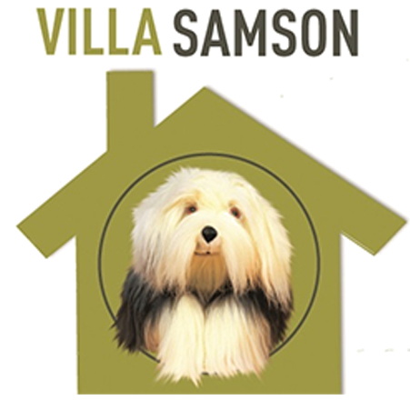Villa Samson 