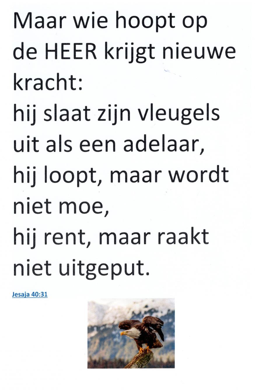 Bijbeltekst kunstwerk kraanvogels 