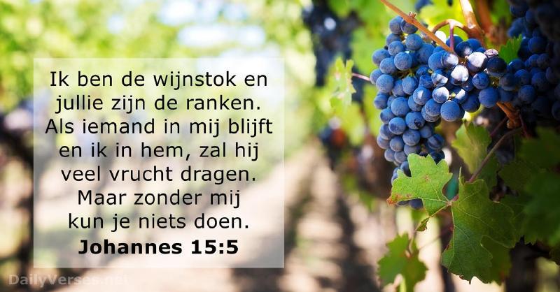 Ik ben de Ware wijnstok © Peter Engelbert 